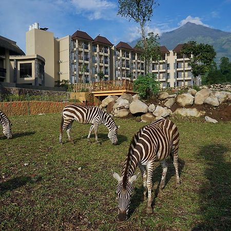 Baobab Safari Resort Prigen Экстерьер фото