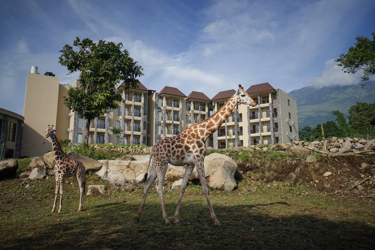 Baobab Safari Resort Prigen Экстерьер фото