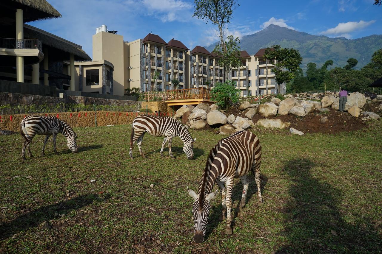 Baobab Safari Resort Prigen Экстерьер фото